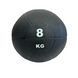 Медбол (медицинский мяч) WCG 8 кг (27 см) W-4001-8kg фото 7
